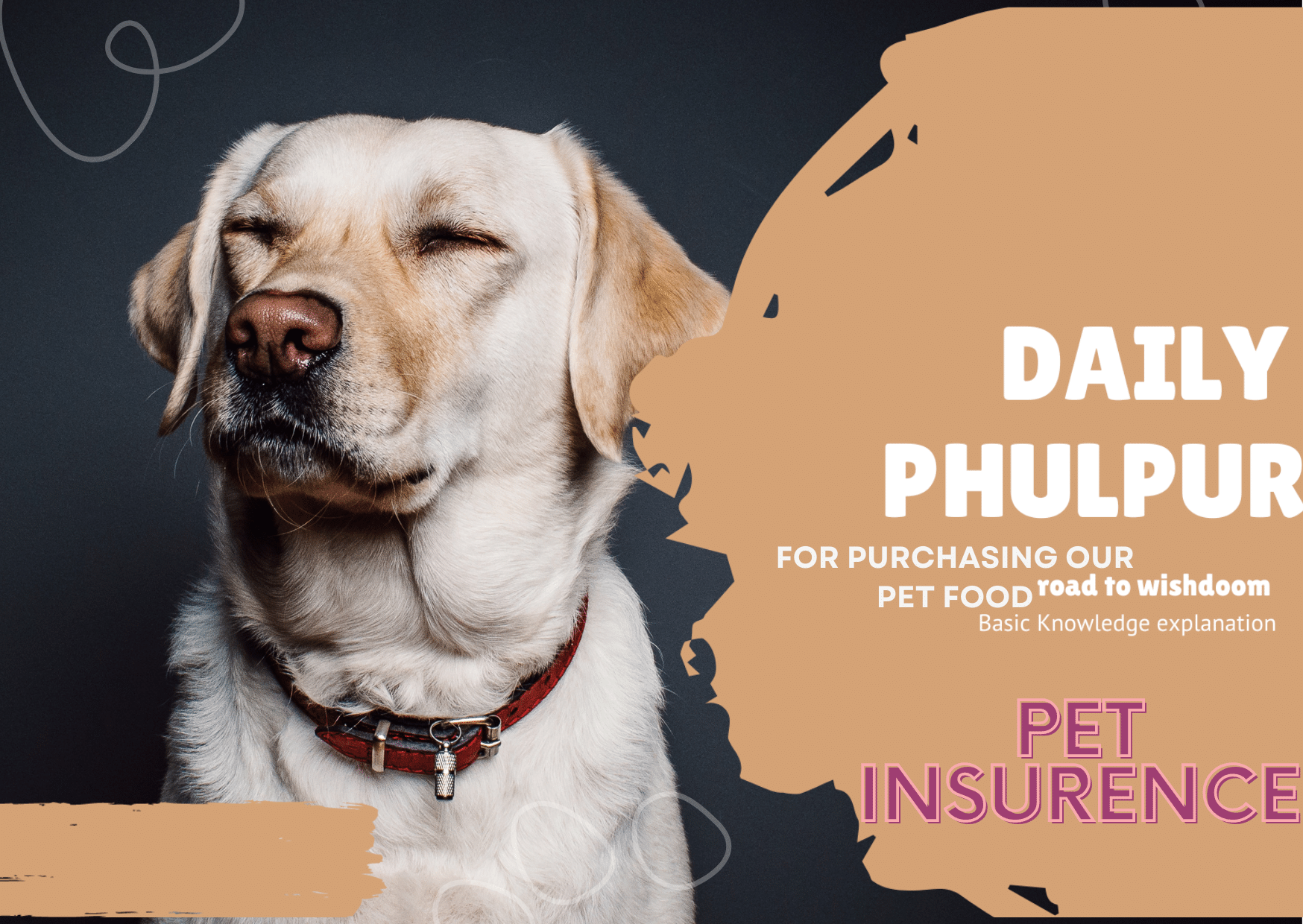https://dailyphulpur.com/insurence/how-much-pet-insurance-do-i-need/